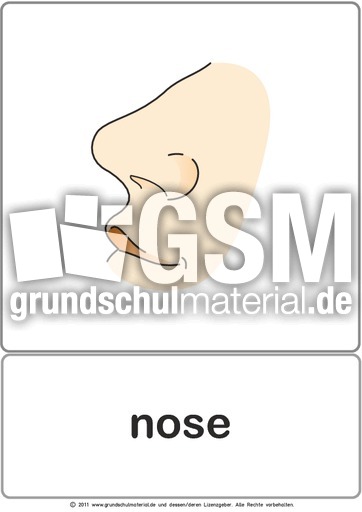 Bildkarte - nose.pdf